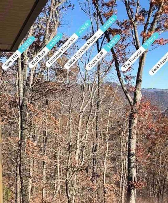 Red Rooster Family Cabin W/Hot Tub+Fire Pit+View Franklin Ngoại thất bức ảnh